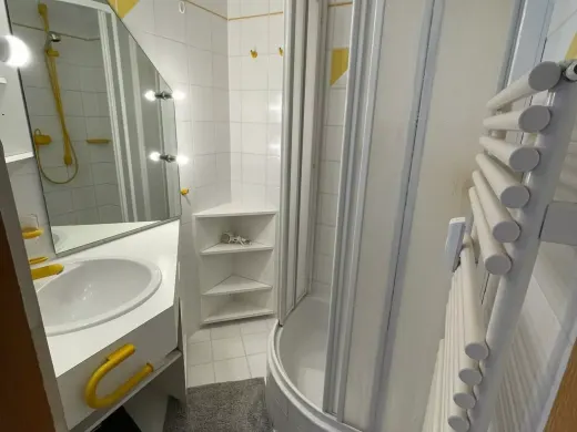 Dusche und Handtuchheizkörper im Haus Sonja